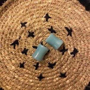NWOT Amazonite Stone Ear Plugs